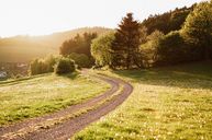 ©dana_luig_unsplash